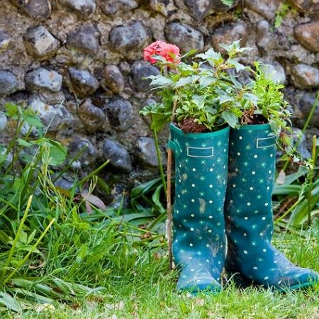 Wellington boots in a garden with plants in them