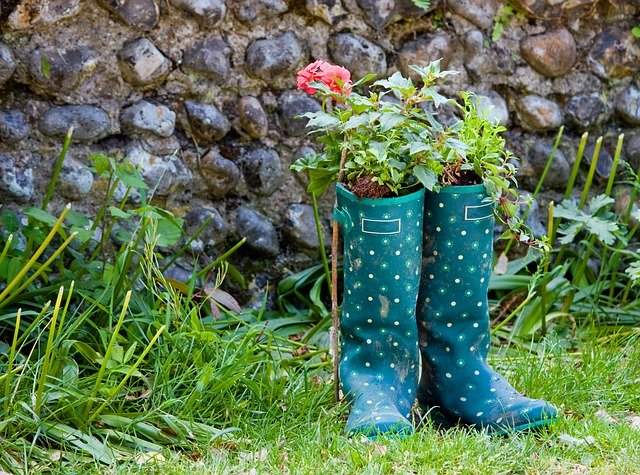 Wellington boots in a garden with plants in them