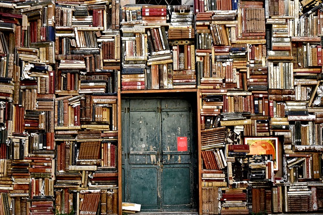 A giant stack of shelves, with many books on them, surrounding an old door