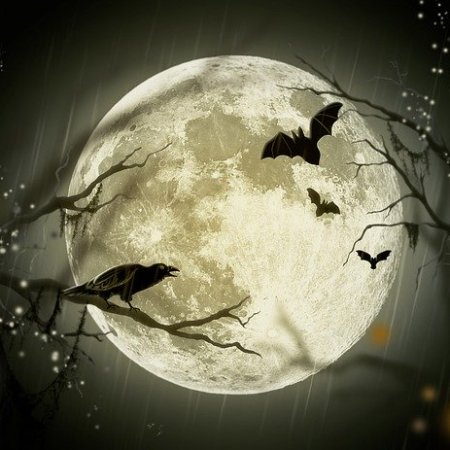 A giant super moon in the sky with bats flying