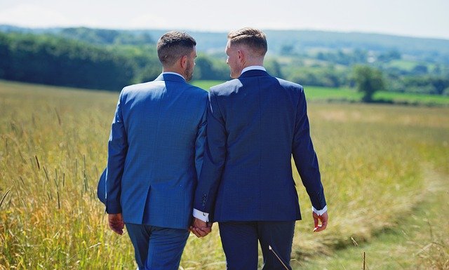 A gay married couple holding hands in a meadow