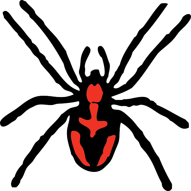 Black widow spider in cartoon form - a red back