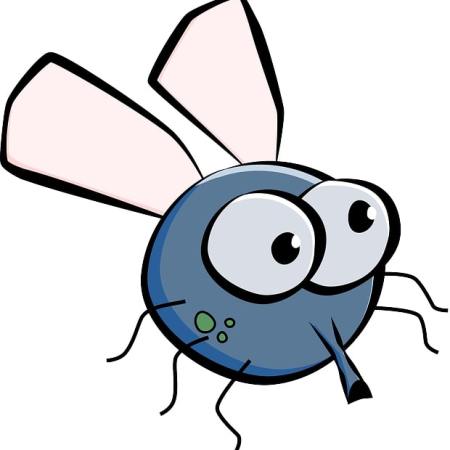 A cartoon housefly.
