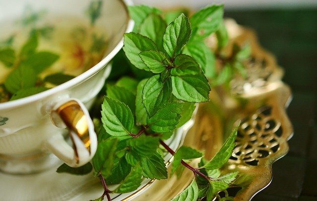 A cup of mint tea with the leaves resting on the saucer