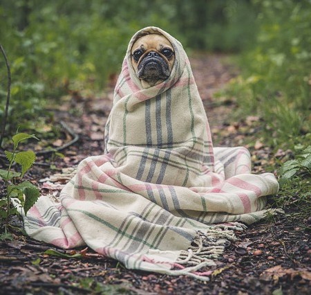 E.T. Atari 2600 video game