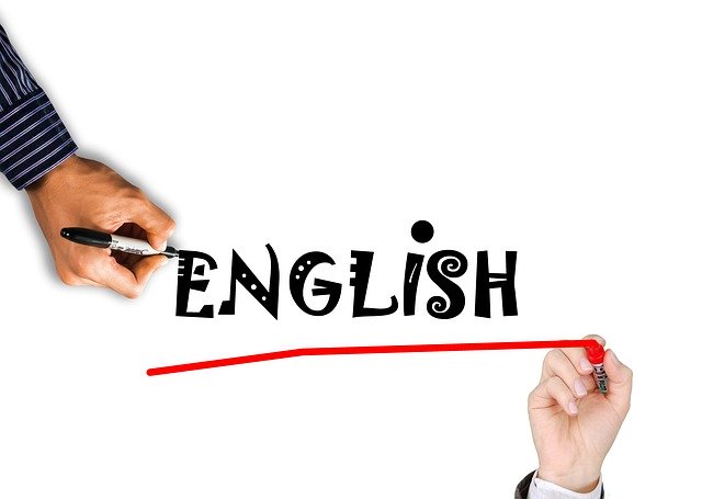 The Professional Moron Guide to English – Professional Moron