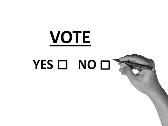 Vote yes or no political message