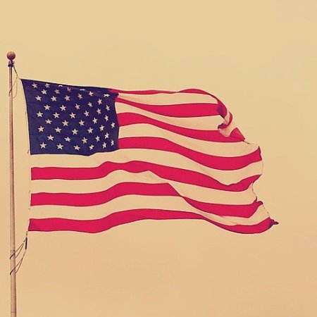 The American flag
