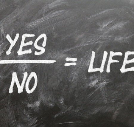 Yes divided by no equals life