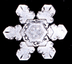 This one says, "I like jam!"