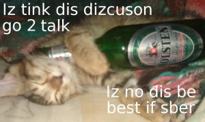 Yes, even the cats need to get drunk.