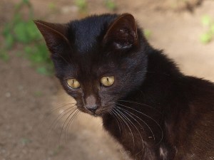 We totally hope this one's called Frank.