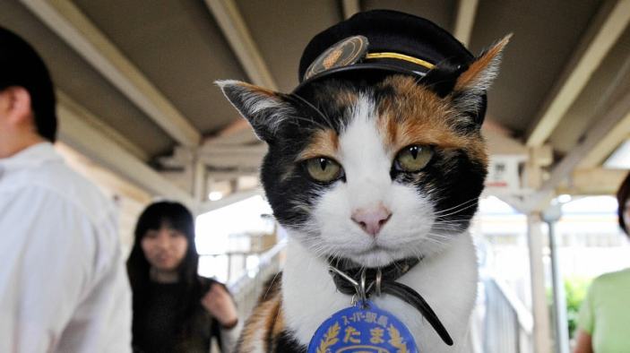 Tama The Super Station Master