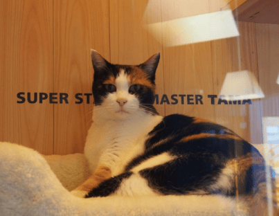 "GET OUT OF MY OFFICE!!!"