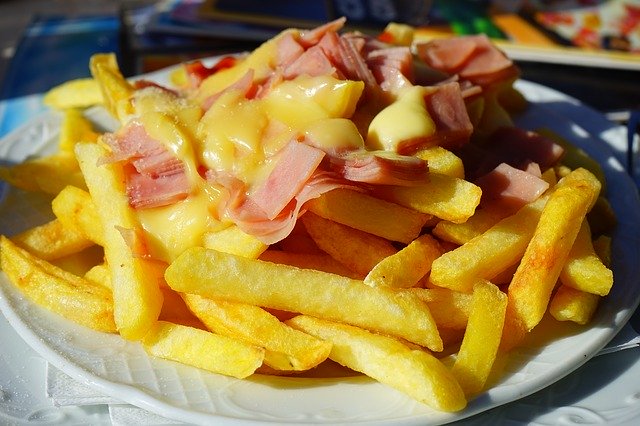 French fries and cheese are junk food