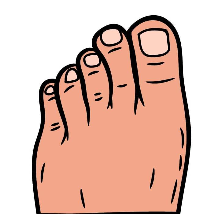 A cartoon foot with a big toe