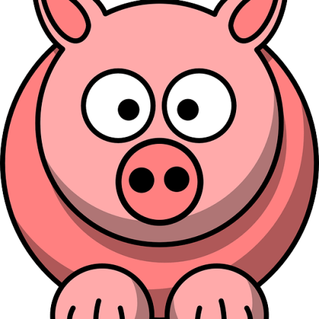 Pig