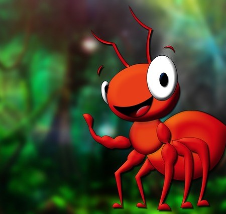 Shampoo and Conditioner