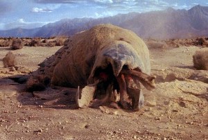 Graboid.