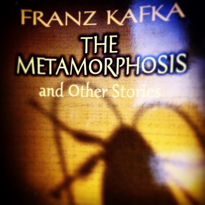 The Metamorphoses by Franz Kafka
