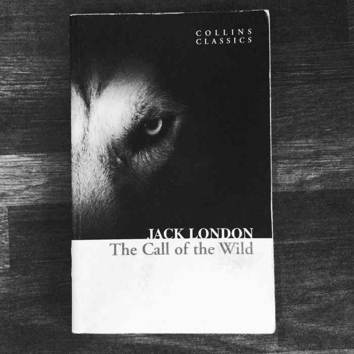 The Call of the Wild by Jack London