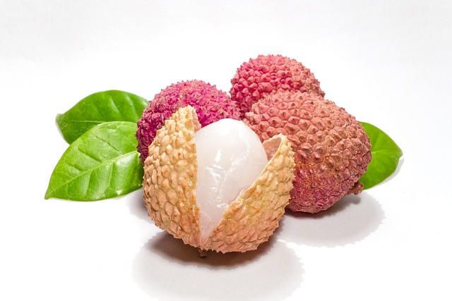 Spolied Lychee Right… What’s With The Goddamn Lies, Lychee?! – Professional Moron