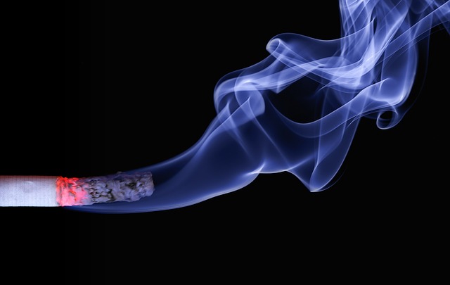 salmon cigarette Exclusive Recipe: Smoked Salmon Cigarettes! – Professional Moron