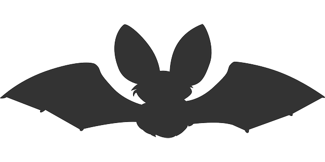 Bats and sports bats