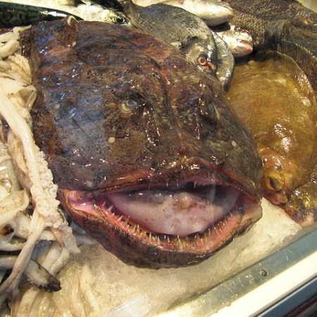 Agony aunt - Ugly husband