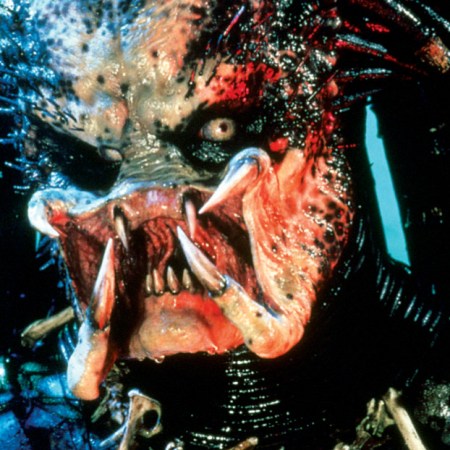 If it bleeds we can kill it