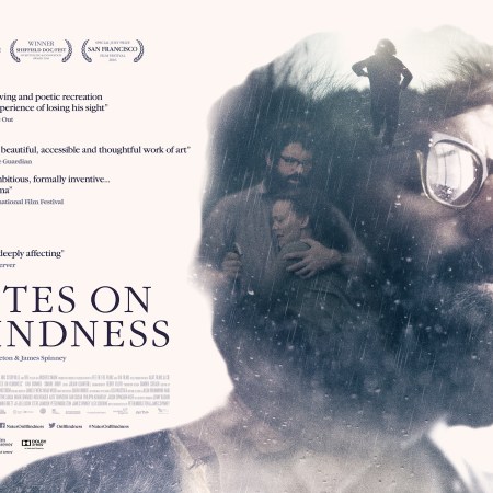 Notes on Blindness