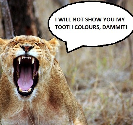 Show your tooth colours - saying