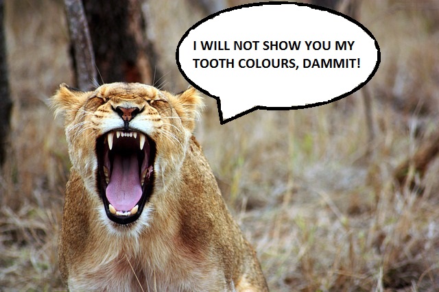 Show your tooth colours - saying