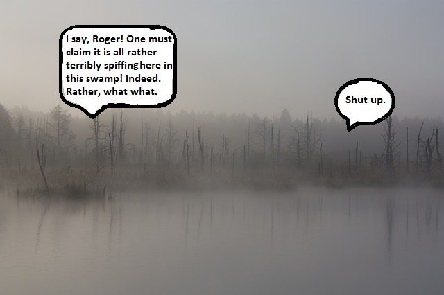 Travel Guide 2017 - Swamps