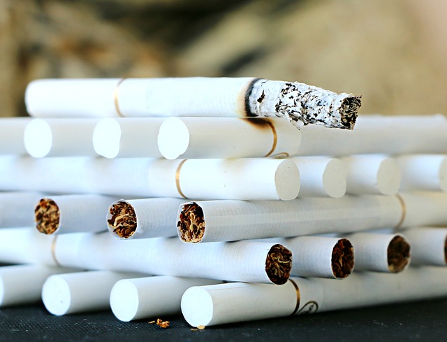 salmon cigarette Exclusive Recipe: Tobacco Smoked Salmon – Professional Moron