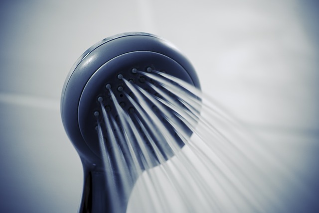 The Shower Hair Dryer