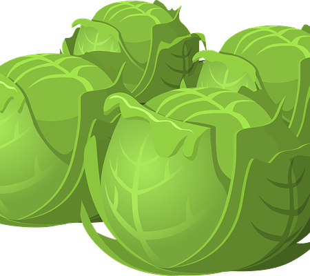 Classic albums with cabbage in the title