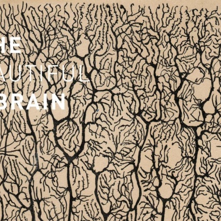 The Beautiful Brain by Santiago Ramón y Cajal
