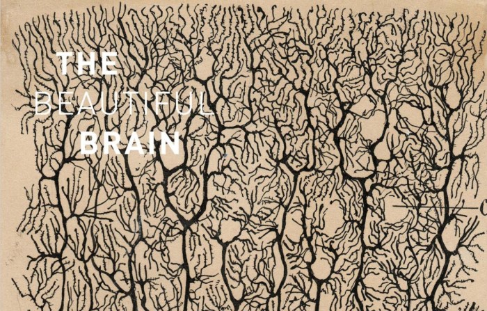 The Beautiful Brain by Santiago Ramón y Cajal