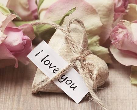 I love you - Valentine's Day roses and romance