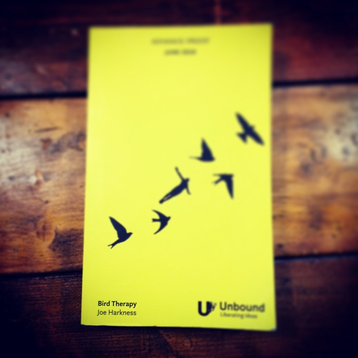 Bird Therapy by Joe Harkness