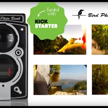 Bird Photo Booth 2.0