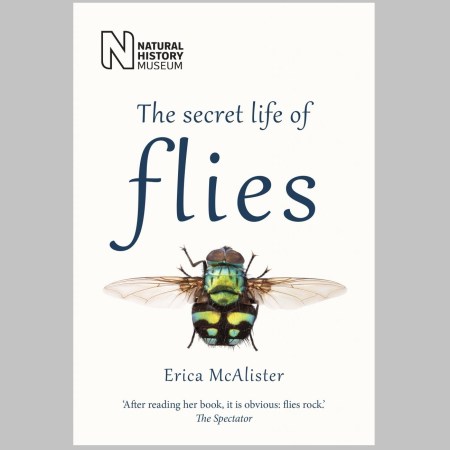 The Secret Life of Flies by Erica McAlister