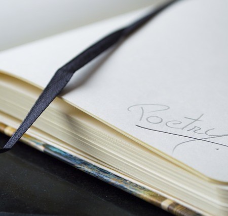 Poetry book and haikus