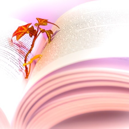 A flower in a book of poetry