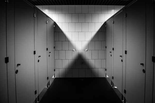 Toilet cubicles in a black and white bathroom