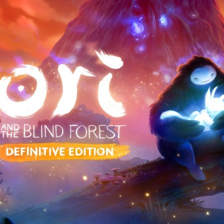 Ori and the Blind Forest on the Nintendo Switch