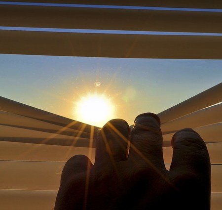 Peeking from behind some blinds at the sun