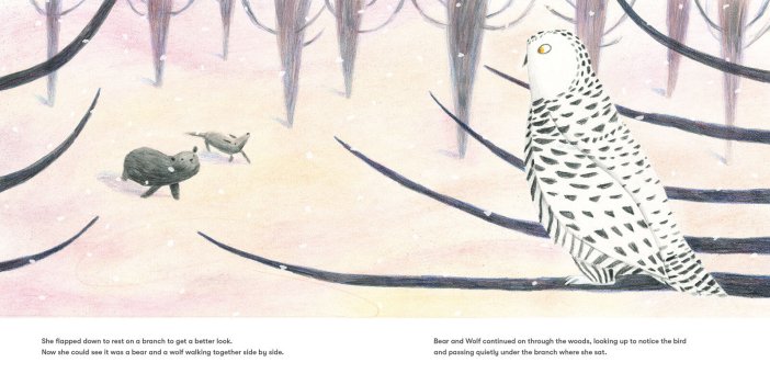 Bear and Wolf waling through the snow looking at a bird in Daniel Salmieri's picture book