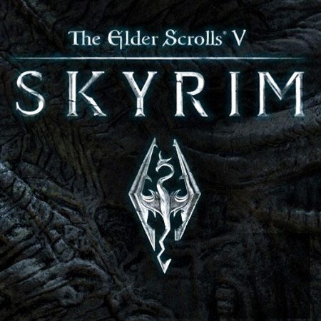 The Elder Scrolls V - Skyrim